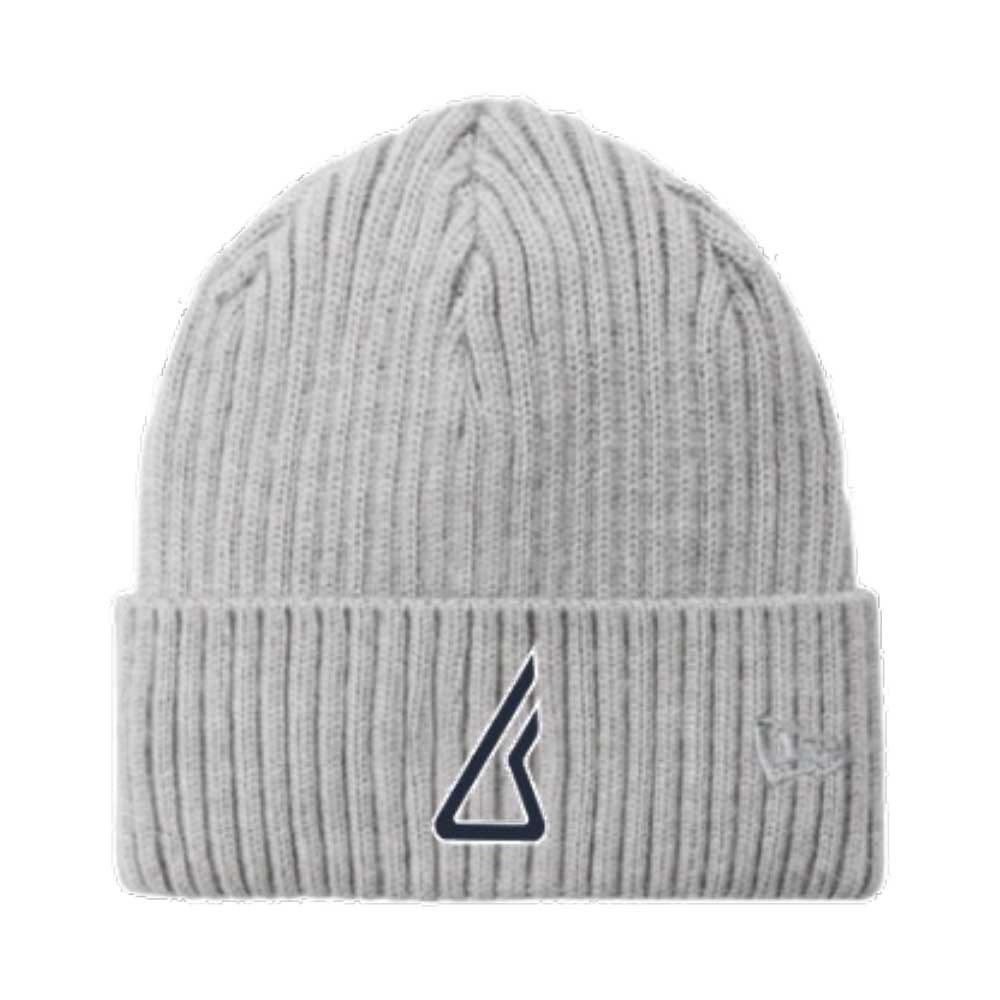 New Era 'Icon' Beanie, silver